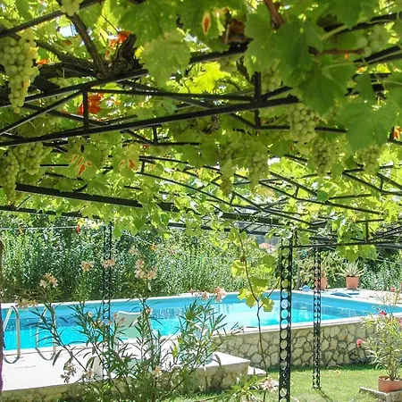Regina Serafina Villa Balçık