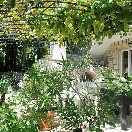 Regina Serafina Villa Balcsik