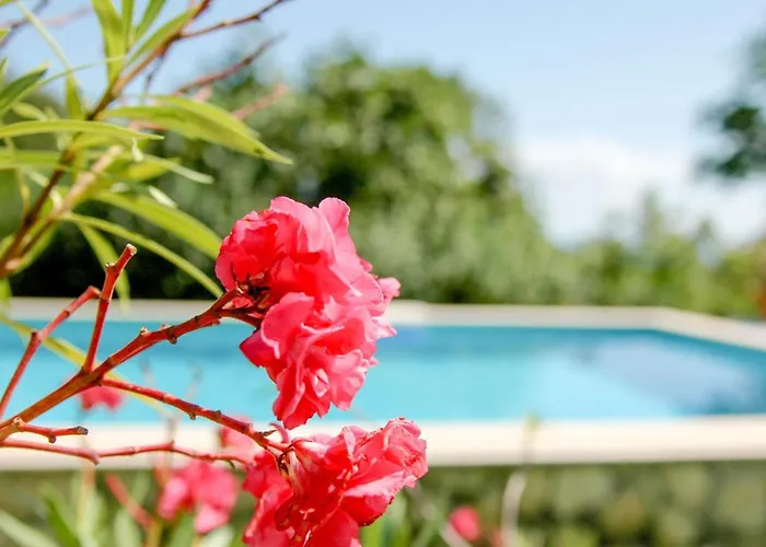 Villa Regina Serafina Baltschik